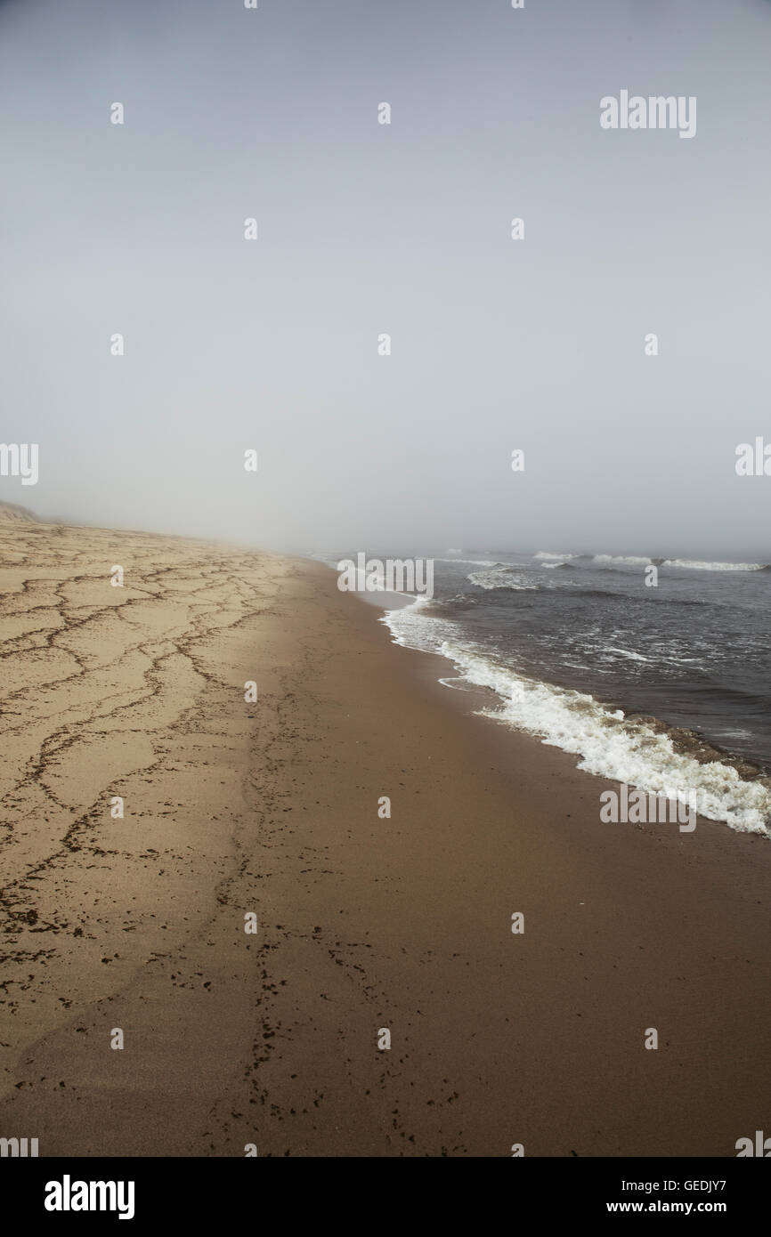 Belle plage misty à Newcomb's Hollow, Wellfleet, MASSACHUSETTS Cape Cod Banque D'Images