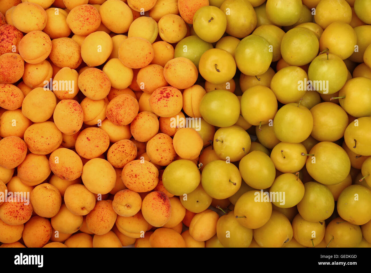 Fresh moelleux prunes jaunes (prunes et cerises abricots mûrs) motif de fond de près, vue de dessus Banque D'Images