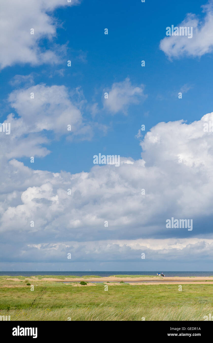 L'équitation à la côte près de Holme Next la mer à Norfolk, Angleterre, Royaume-Uni Banque D'Images