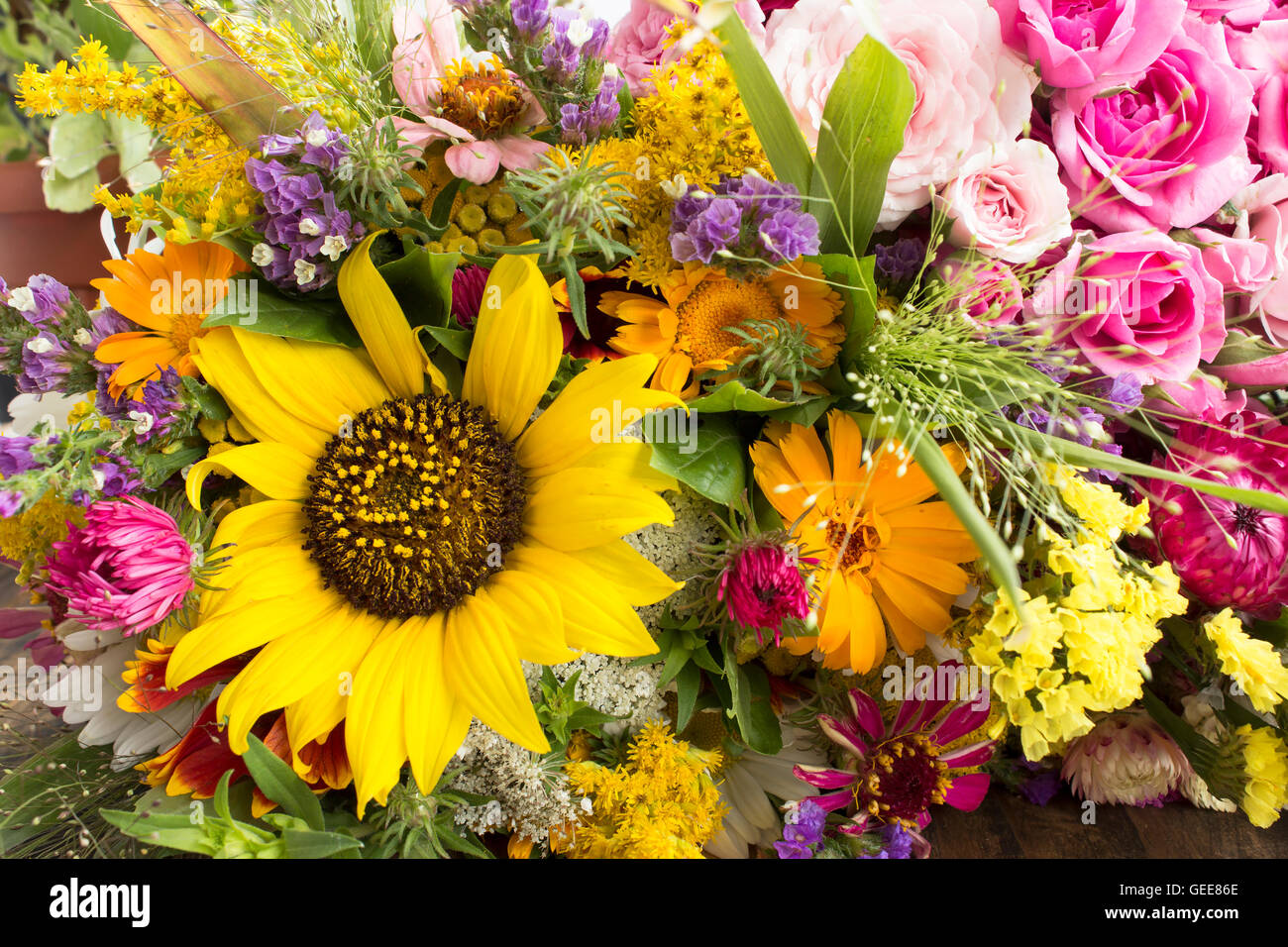 Différentes fleurs d'été. Banque D'Images