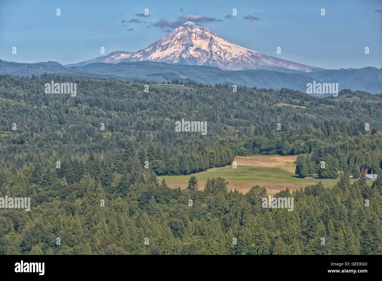 Jonsrud Viewpoint forêt et Mt. Capot en Oregon. Sable Banque D'Images