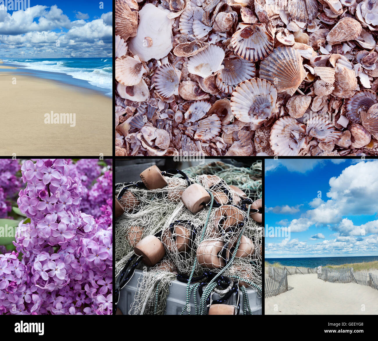 Cape Cod Collage qui comprend des plages, lilas, coquillages, et ciel bleu. Banque D'Images