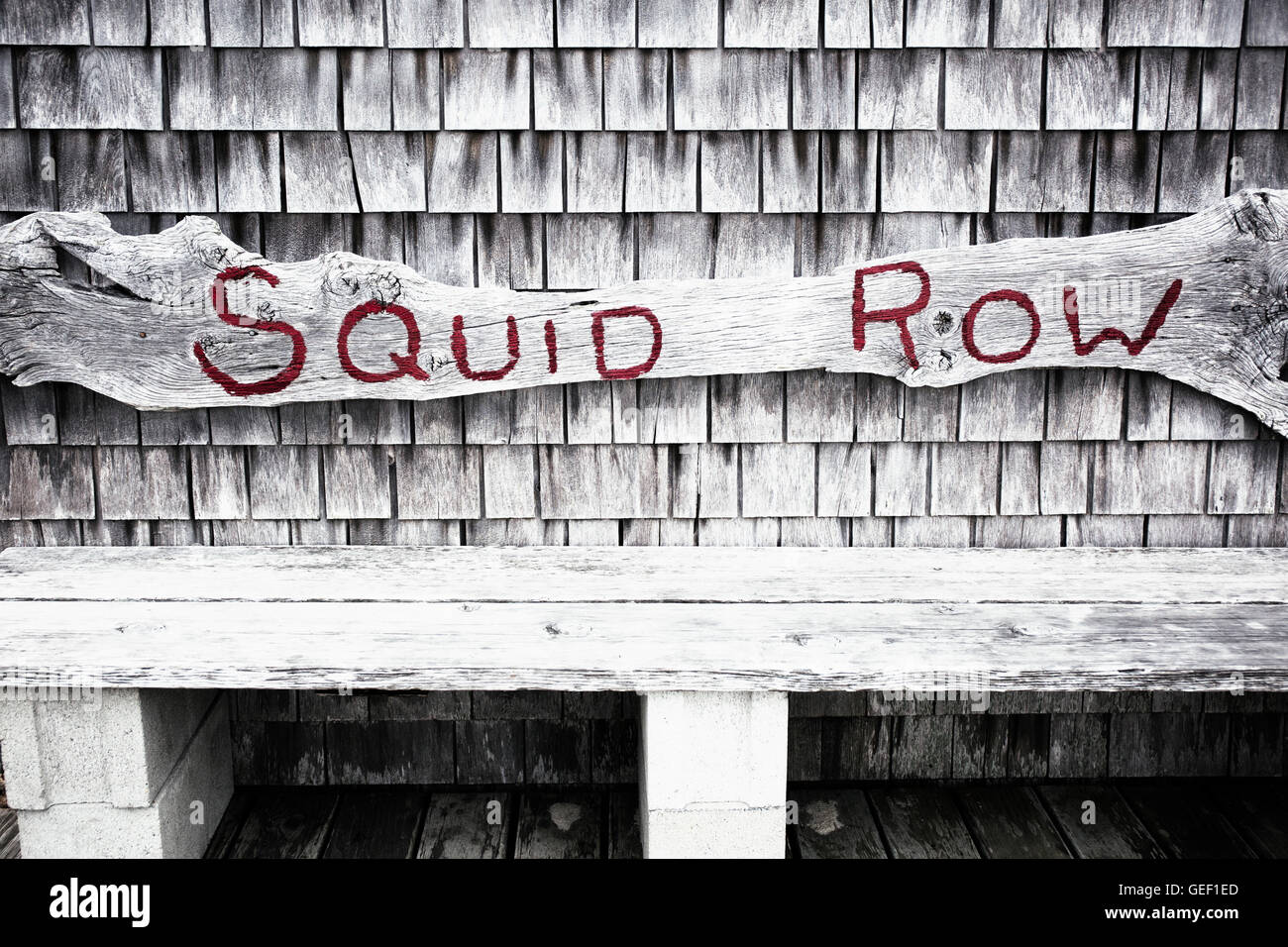 Ligne calmar peint sur un banc dans le Massachusetts Menemsha sur Martha's Vineyard. Banque D'Images