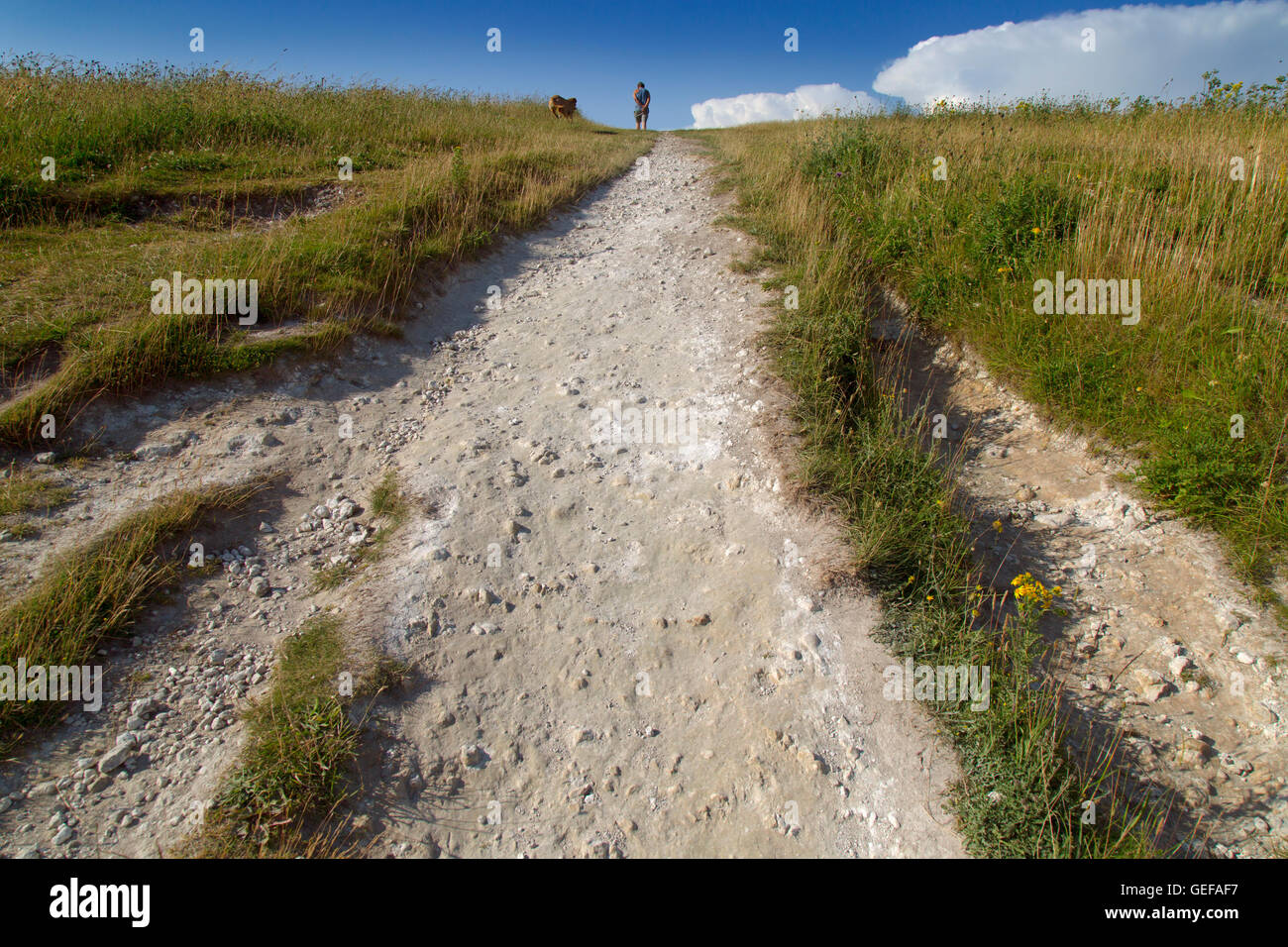 Le chemin de Ridgeway vers sa finition sur Ivinghoe Beacon Bucks Banque D'Images