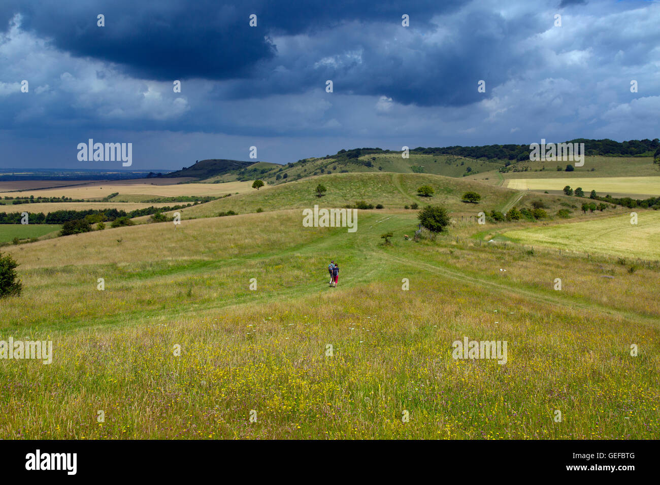 Le chemin de Ridgeway vers sa finition sur Ivinghoe Beacon Bucks Banque D'Images