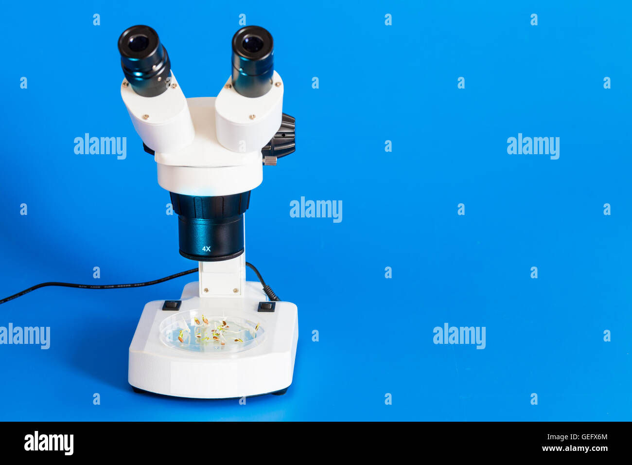 Microscope binoculaire sur fond bleu Banque D'Images