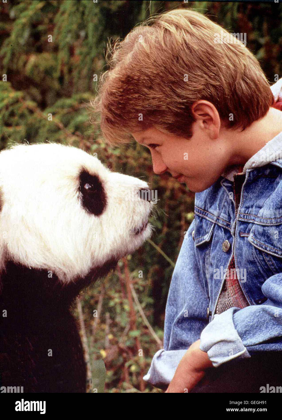 Ryan Ryan Slater (Tyler Ryan Slater) verbringt seine Schulferien in einem chinesischen Reservat, wo arbeitet als Vater sein Biologe, um einen idealen La société fuer die letzten Pandabaeren zu schaffen. *** *** Légende locale 1995, Amazing Panda Adventur Banque D'Images