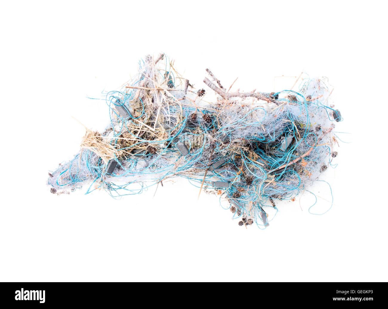 Tangled réseau de mer sur un fond blanc Banque D'Images