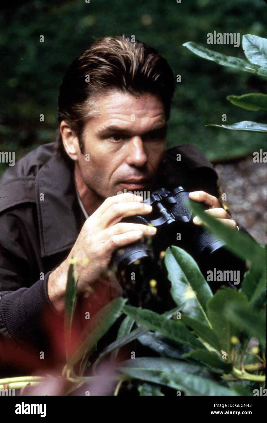Harry Hamlin Als Dave Ward (Harry Hamlin) merkt, dass Annie ihm auf die Schliche ist gekommen, nimmt er Sie auf's Korn. *** *** 1996 légende locale, d'un insigne de la trahison, Mein Chef : Das Schwein ! Banque D'Images
