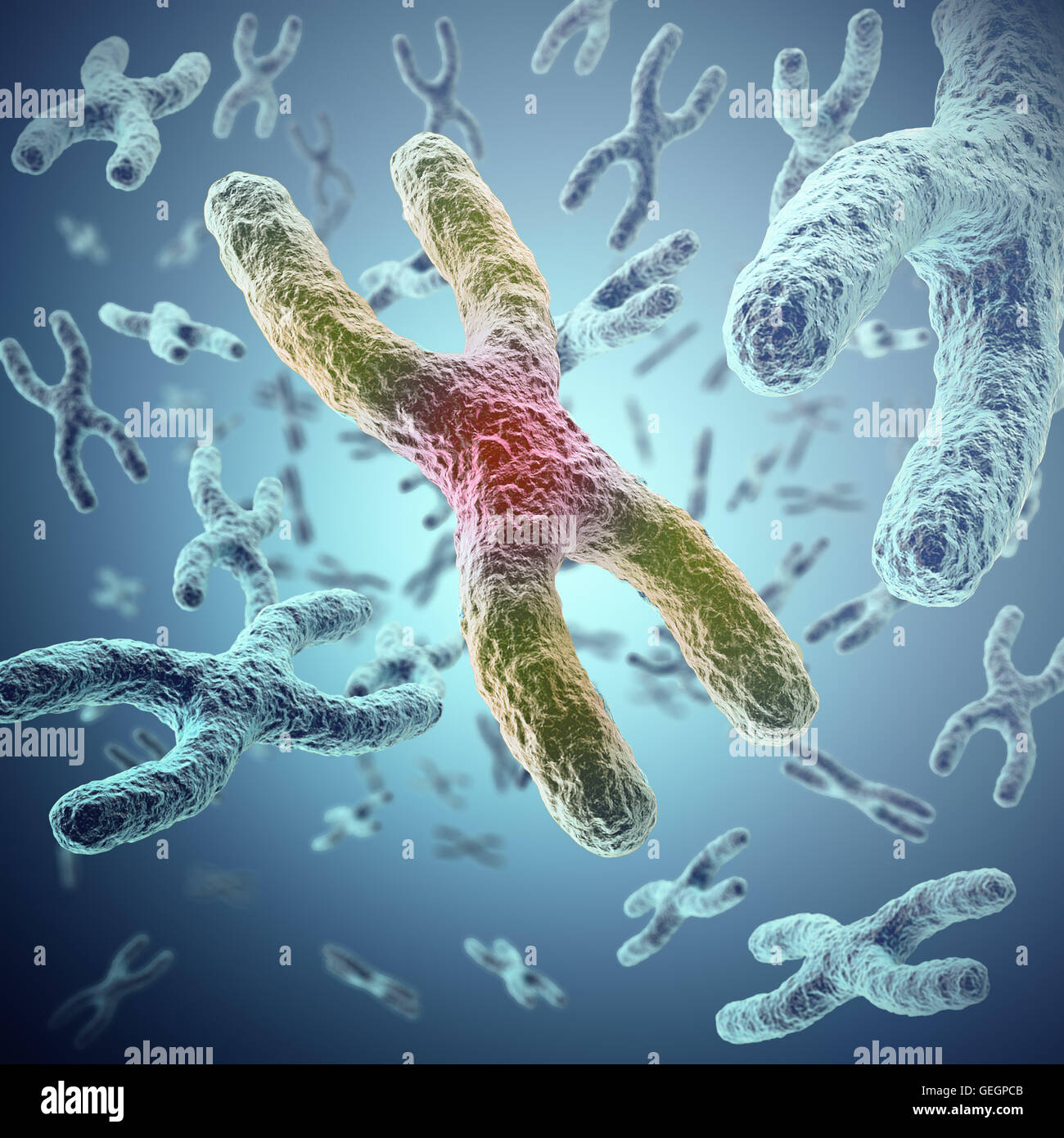 Chromosomes X comme un concept de la biologie humaine symbole médical la thérapie génique ou la microbiologie à la recherche génétique. 3d illustration Banque D'Images