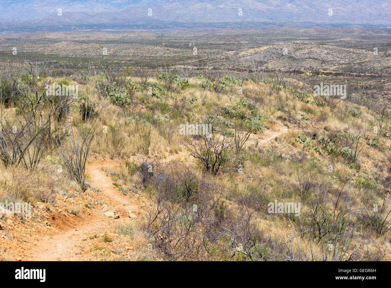 L'Arizona Trail descendant des collines de prairies vers les montagnes de Rincon. Las Cienegas National Conservation Area, Arizona Banque D'Images