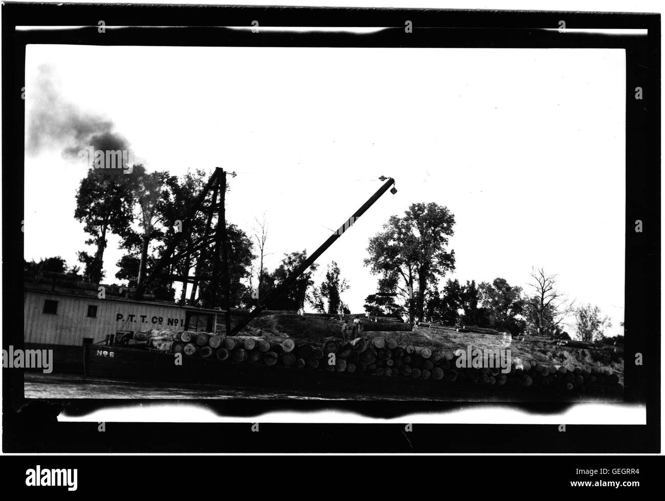 Chargement des grumes avec derrick voile Banque D'Images