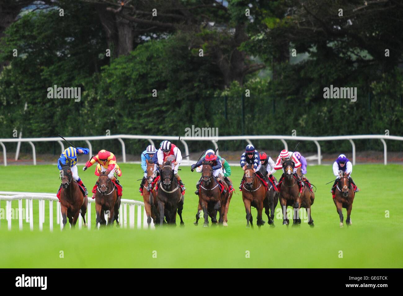 Spruce Meadows monté par Gary Halpin (rouge avec manches blanches) gagner le Clayton Hotel Galway Handicap au cours de la première journée du Festival à Ballybrit Galway, République d'Irlande. Banque D'Images