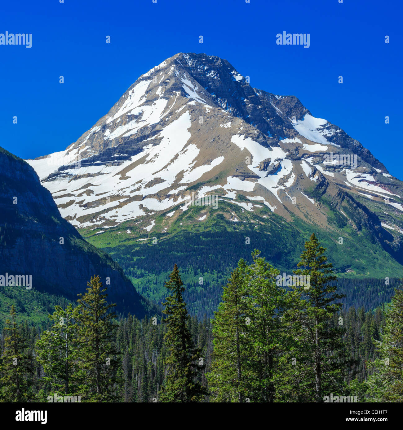 Mount Jackson dans le Glacier National Park, Montana Banque D'Images