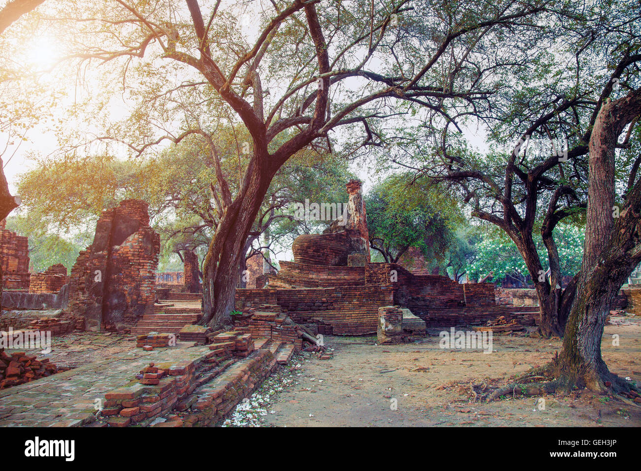 Ruines de l'ancienne capitale du Siam - Ayutthaya, Thaïlande Banque D'Images