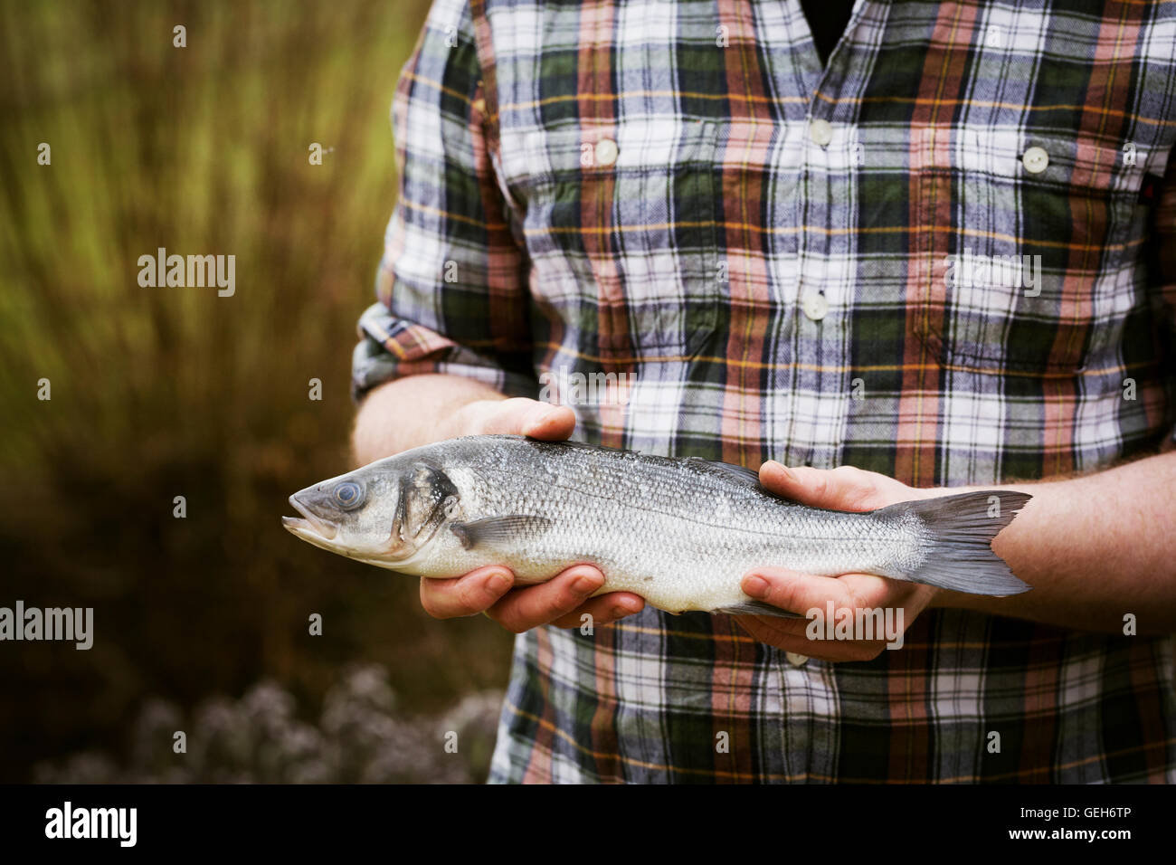 Close up d'un chef tenant un poisson frais dans ses mains. Banque D'Images