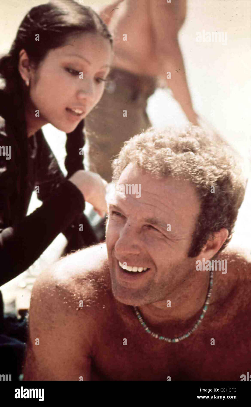 Tiana, James Caan Mike Locken (James Caan) arbeitet als fuer die Geheimorganization Agent privé 'Comteg'. *** *** Légende locale 1975, Killer Elite, le Die, Killer-Elite Banque D'Images