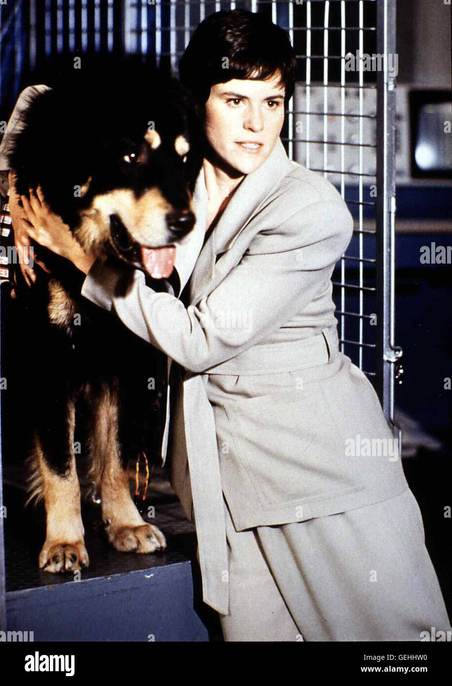 Ally Sheedy Lori Tanner (Ally Sheedy) eine Histoire über Tierversuche schreiben. Als Sie den Wachhund Gefangenschaft befreit aus der Max, ahnt sie nicht, dass das ist eine genmanipulierte Killermaschine niveau. *** *** 1993 légende locale, le meilleur ami de l'homme, A, Der tod Kommt Auf 4 Pfoten Banque D'Images