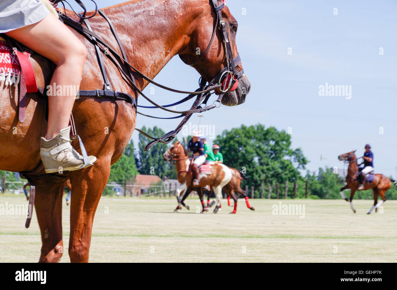 Jeune fille à cheval regarder match de polo et les joueurs à une distance au galop Banque D'Images