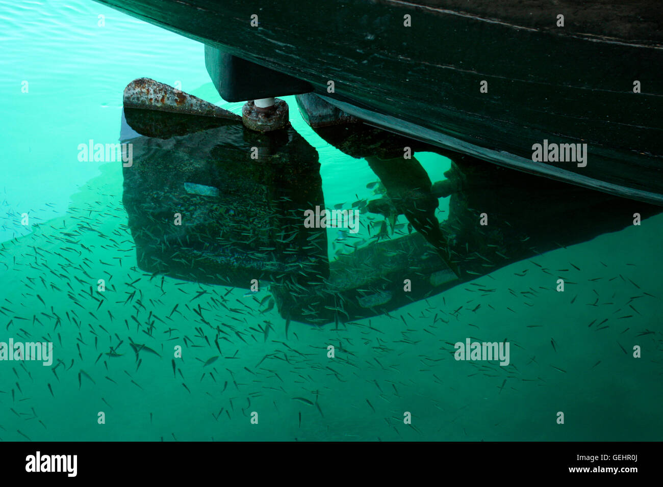 Hélice de bateau et peu de poisson haut-fond dans l'eau turquoise Banque D'Images