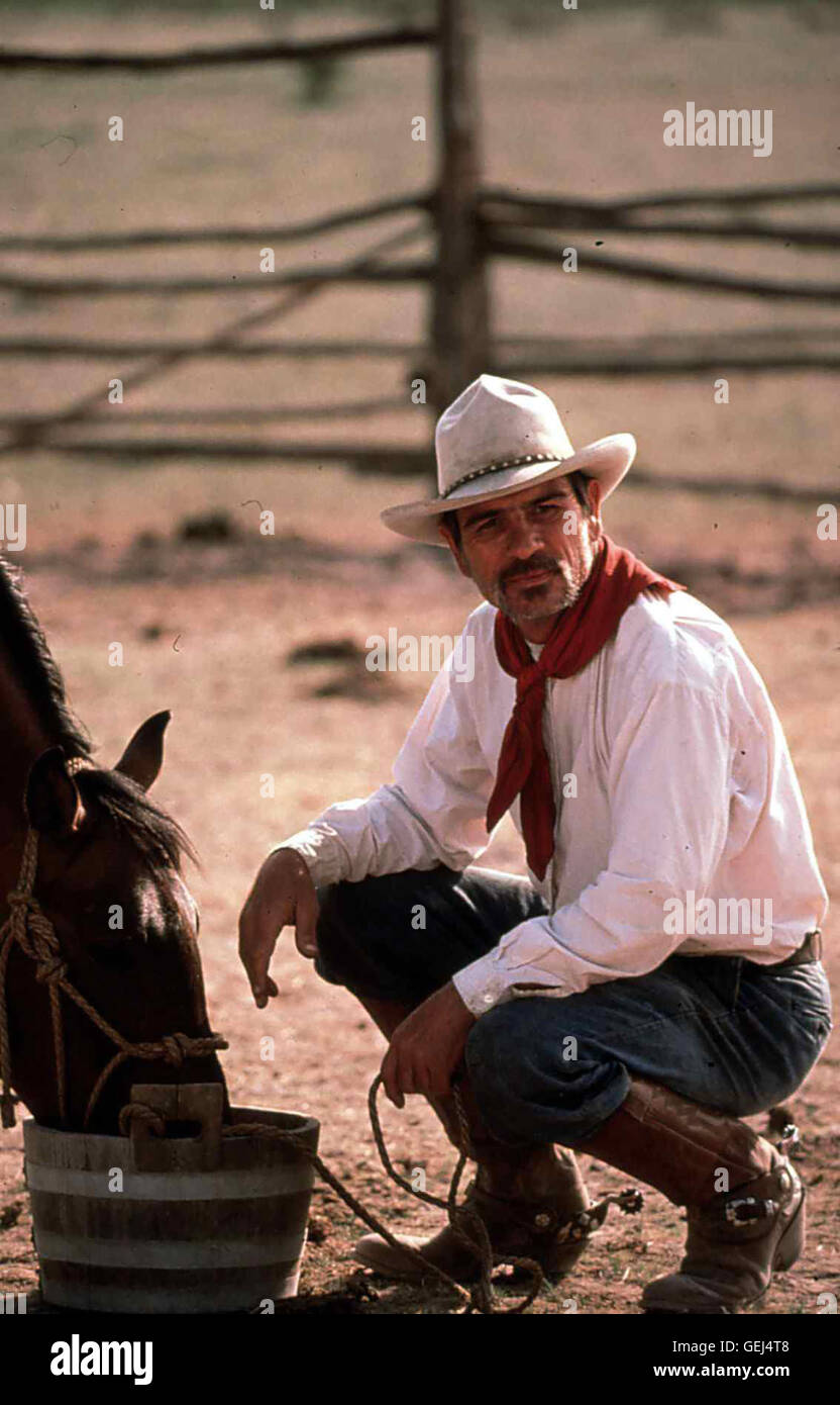 Tommy Lee Jones *** *** 1995 légende locale, bon vieux garçons, l', Einmal Ein Cowboy, Immer Ein Cowboy Banque D'Images