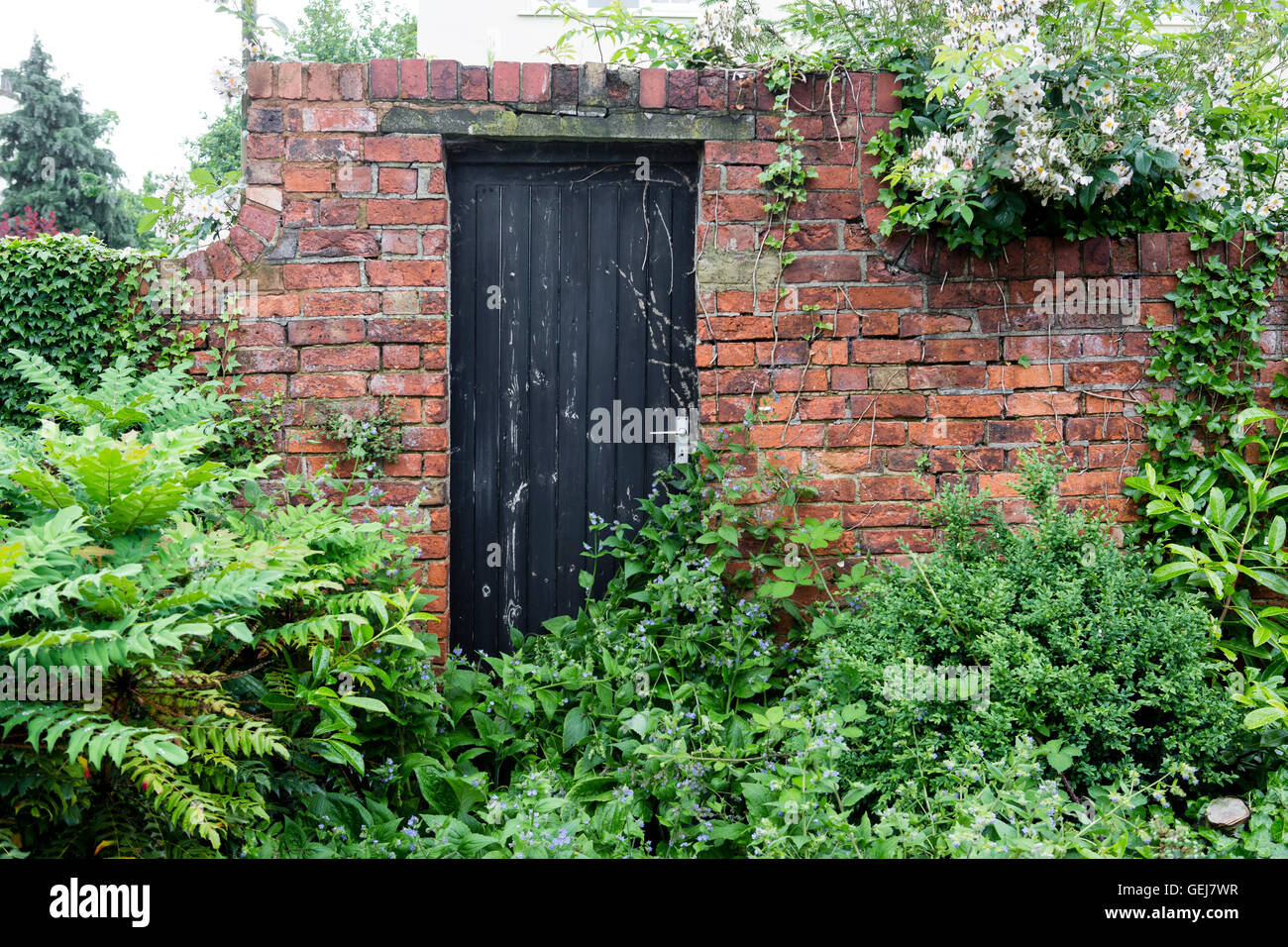 Une porte en bois fermée situé dans un mur de brique rouge dans un jardin luxuriant. Banque D'Images