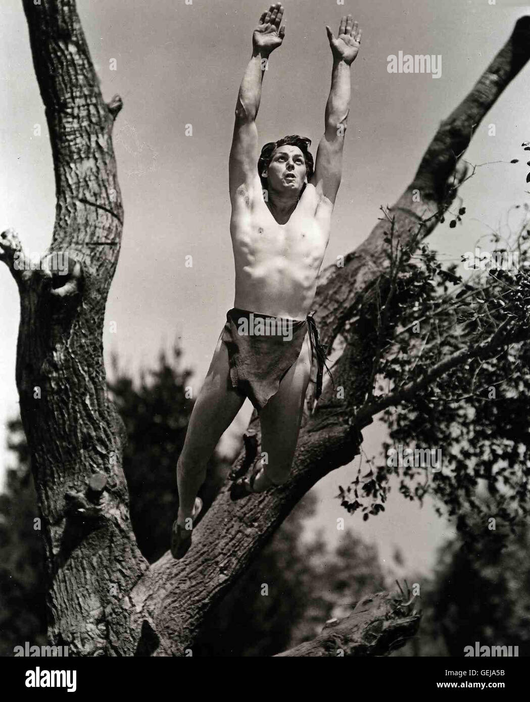 Johnny Weissmüller *** *** 1939 légende locale, Tarzan trouve un fils, Tarzan und sein Sohn Banque D'Images