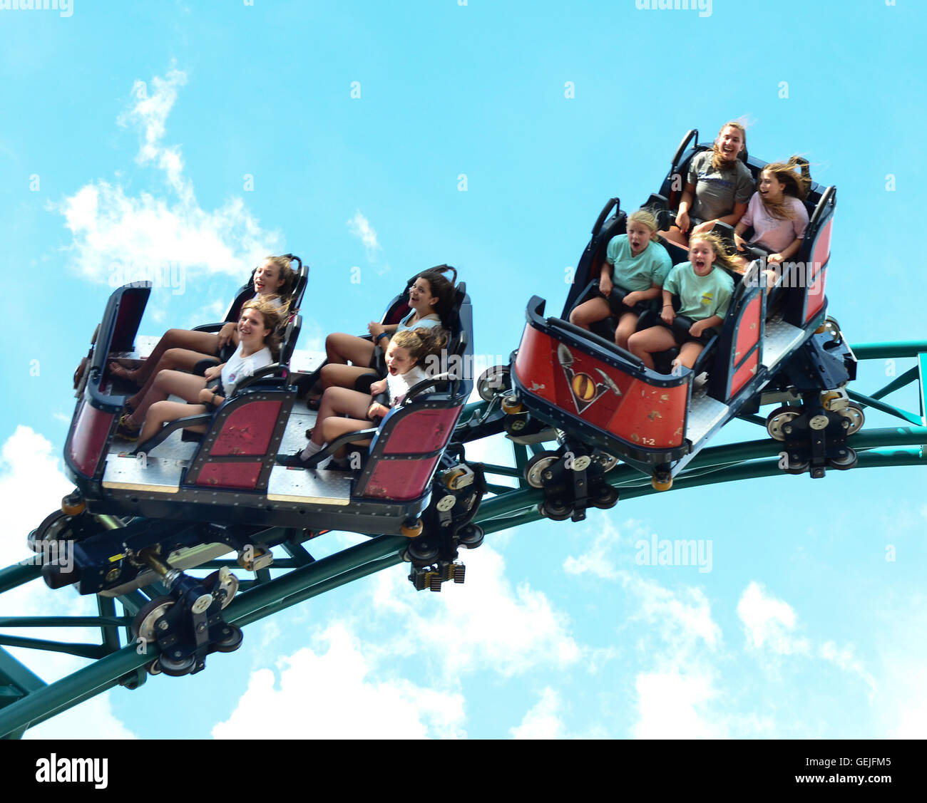 La Malédiction du coaster Cobra spin à Busch Gardens Tampa en Floride, le seul du genre dans le monde Banque D'Images