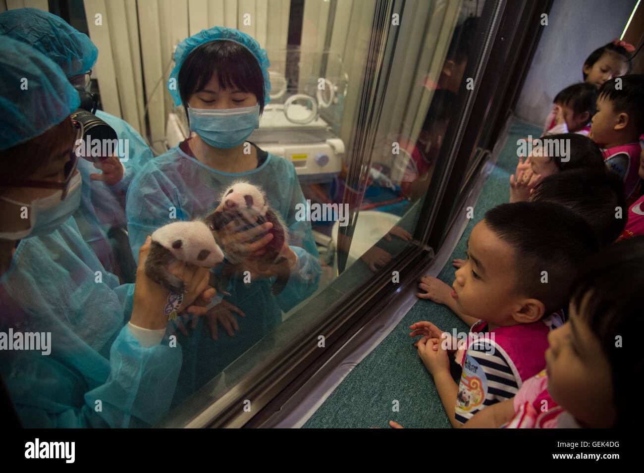 Macao, Chine. 26 juillet, 2016. Les enfants regarder grand panda oursons Dabao (L) et Xiaobao dans la Région administrative spéciale de Macao, Chine du sud, le 26 juillet 2016. La femelle panda Xinxin ici a donné naissance aux deux oursons le 26 juin. Une fête pour les deux oursons' fin de leur premier mois de vie est tenue ici mardi. Credit : Cheong Kam Ka/Xinhua/Alamy Live News Banque D'Images