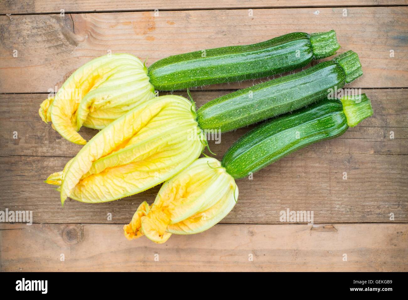 Courgettes fraîchement coupé, 'Defender', avec des fleurs en annexe. Banque D'Images