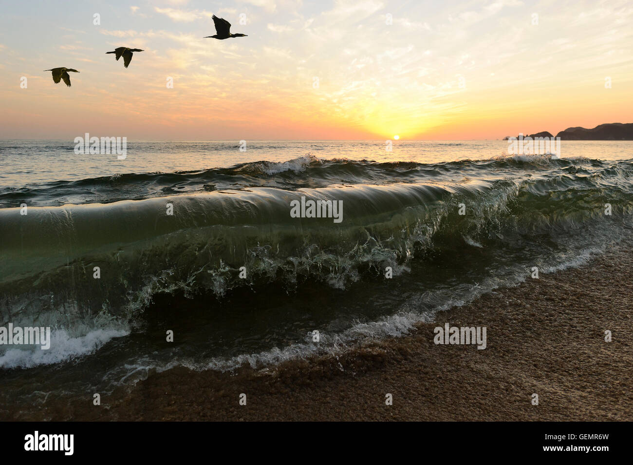 Silhouettes d'oiseaux est un grand océan vagues capturés en milieu de séjour et il est prêt à s'écraser sur la rive, tandis que un petit troupeau d'oiseaux voler Banque D'Images