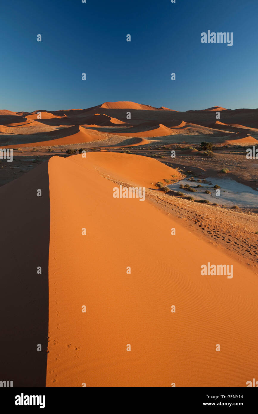 Le Parc National Namib Naukluft, Désert du Namib, Namibie Banque D'Images