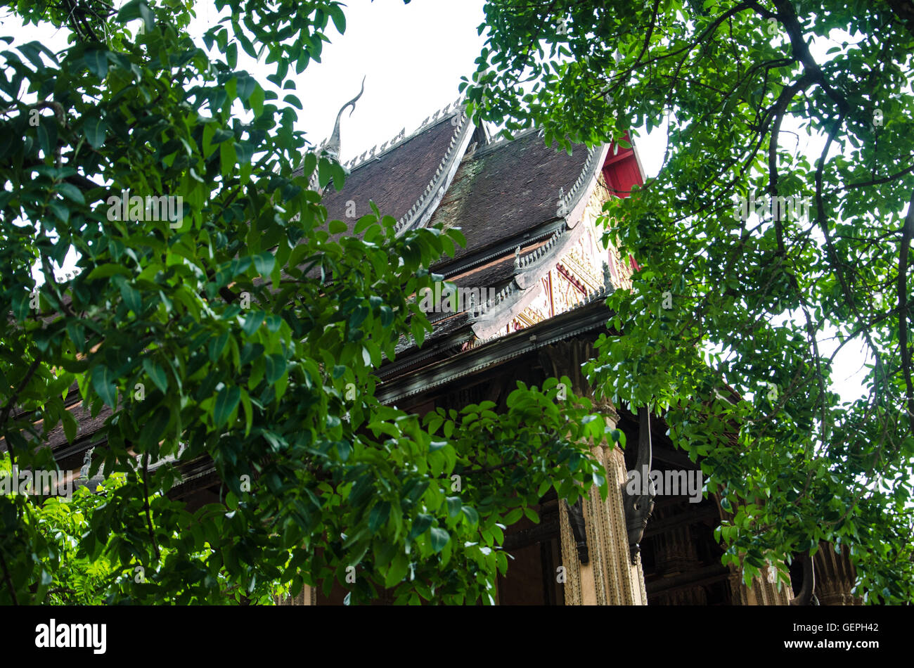 Vue sur le temple derrière un arbre ,Wat Haw Phra Kaew est un ancien temple de Vientiane, Laos. Banque D'Images