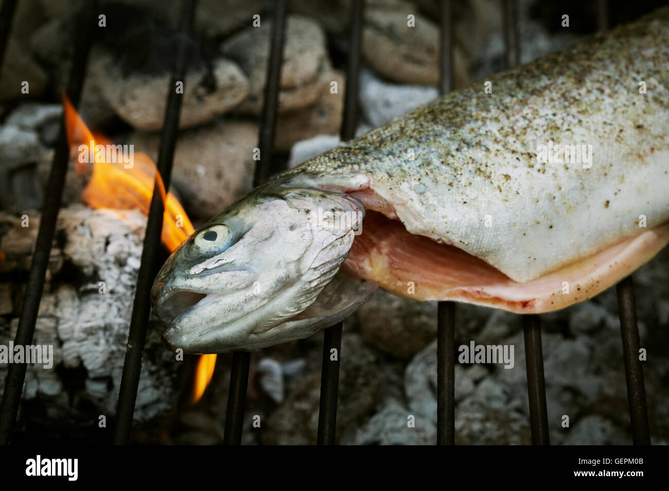 Portrait d'un poisson grillé sur un barbecue. Banque D'Images