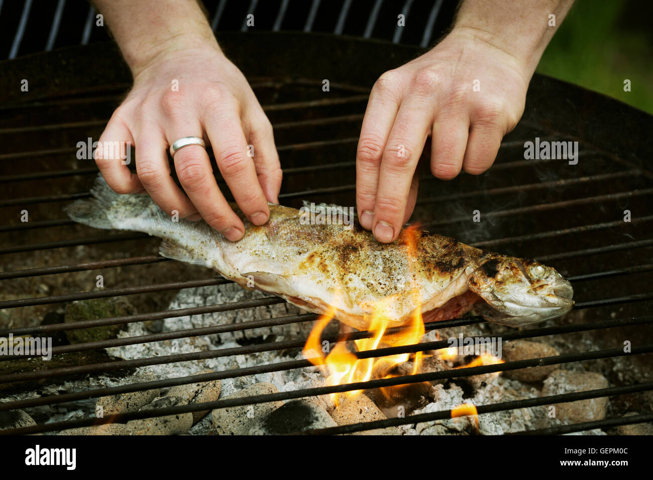 Cuisson Chef un poisson entier sur un barbecue. Banque D'Images
