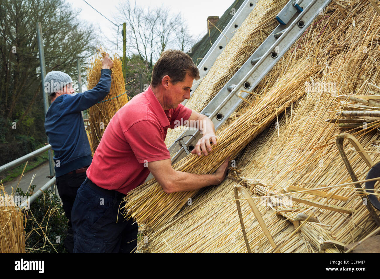 Deux hommes d'un toit de chaume, de multiplication des yelms de paille. Banque D'Images