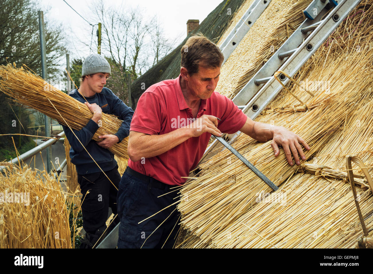 Deux hommes d'un toit de chaume, de multiplication des yelms de paille. Banque D'Images
