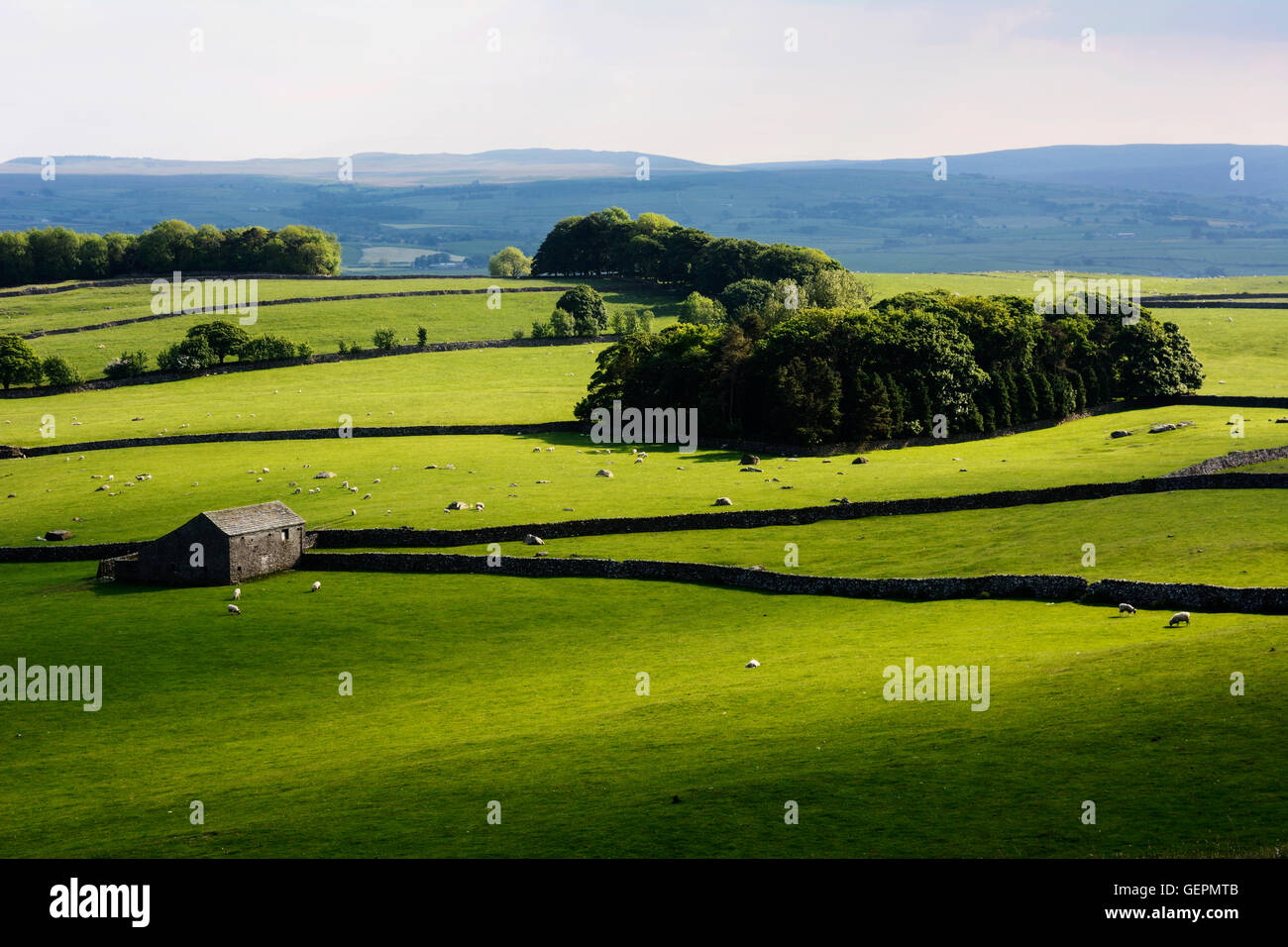 North Yorkshire paysage dans le Yorkshire Dales National Park, près du village de Austwick près de régler. Banque D'Images