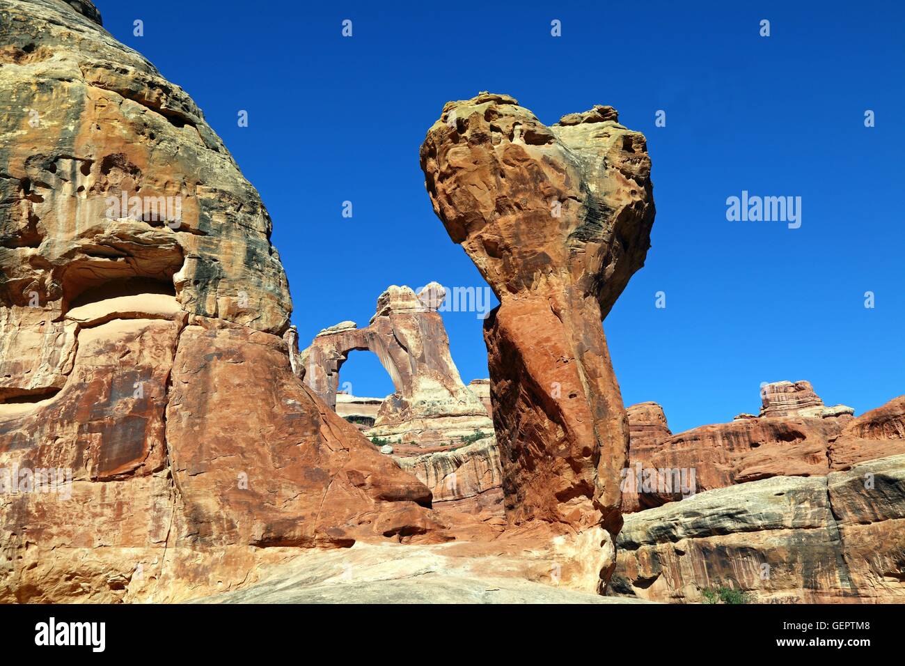 Géographie / voyages, USA, Utah, Angel Arch, molaire (rock), Salt Creek, aiguilles, District Canyonlands National Park, Banque D'Images