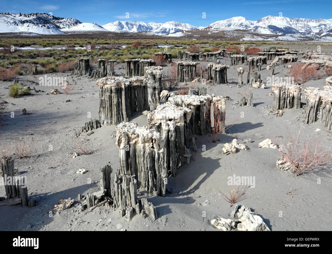 Géographie / voyages, USA, Californie, sable, plage de la Marine de tuf, Mono Lake, l'Est de la Sierra, Banque D'Images