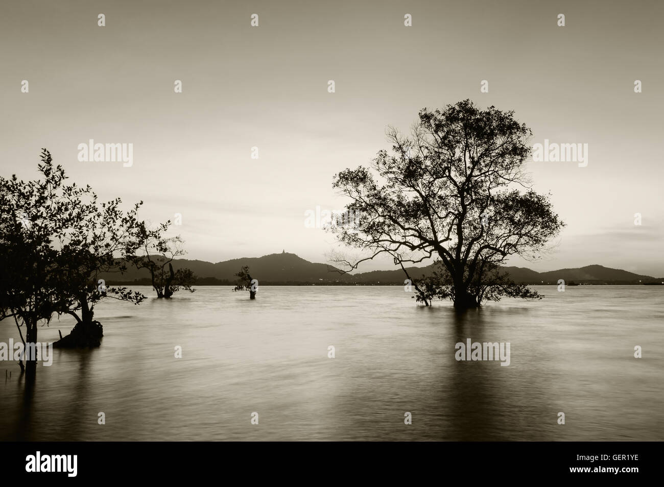 Coucher du soleil sur la mer avec silhouette d'arbre et ciel nuages au crépuscule et tons sombres, avec la technique d'exposition longue tonalité monochrome Banque D'Images