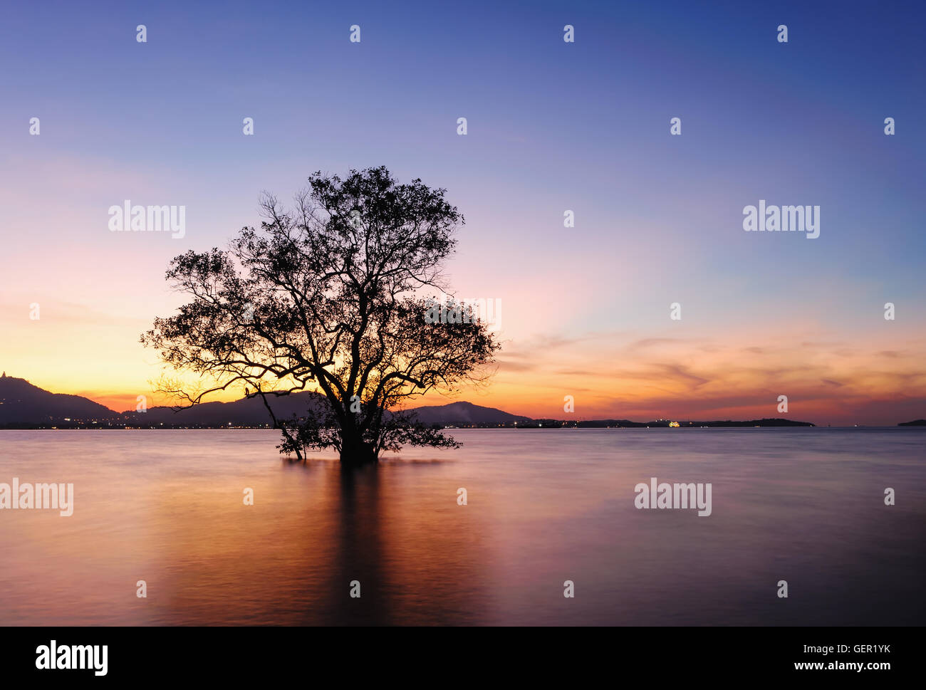 Coucher du soleil sur la mer avec silhouette d'arbre et du ciel nuages colorés dans le crépuscule et de tons sombres, long de la technique d'exposition Banque D'Images