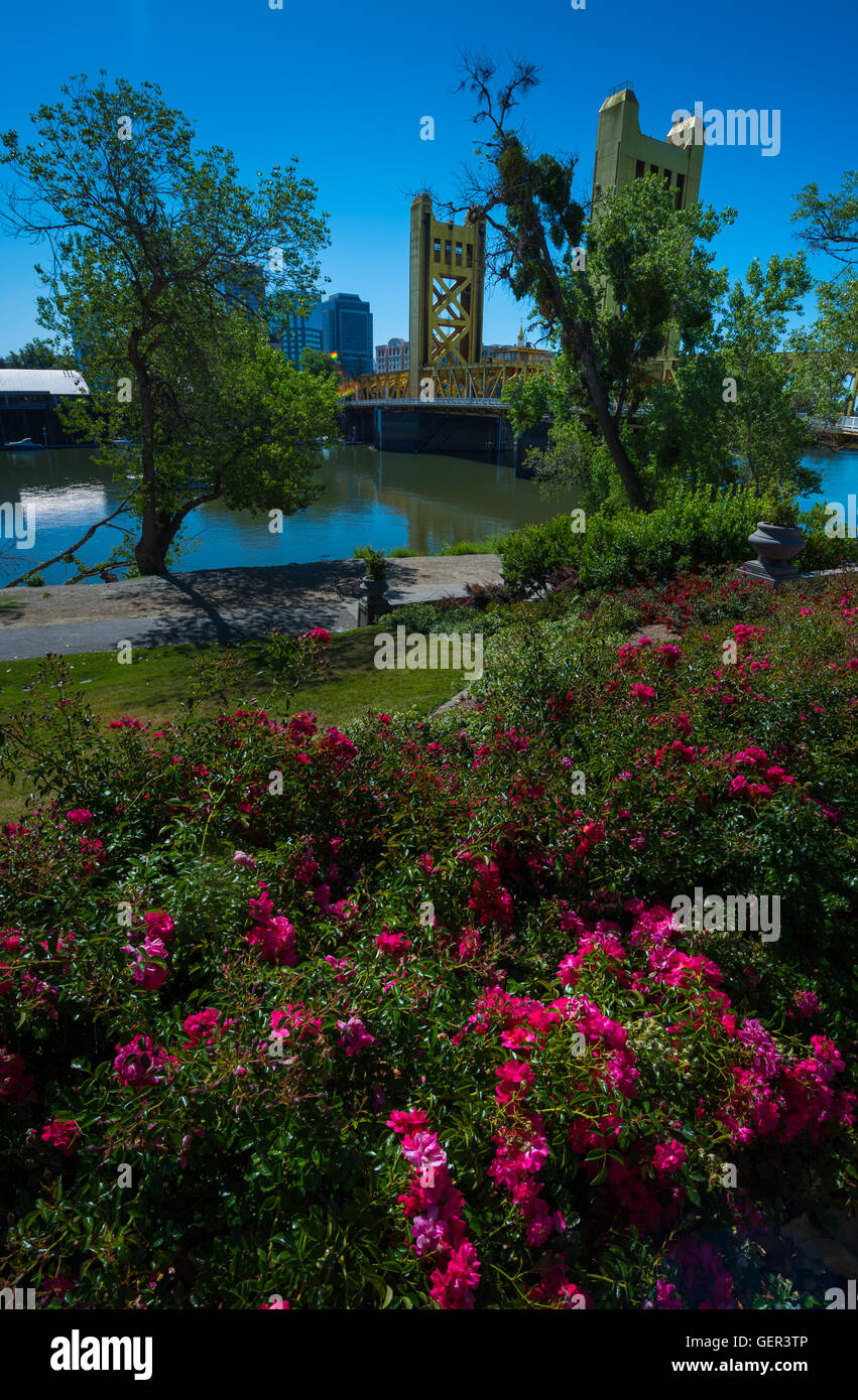 Journée ensoleillée à Sacramento Californie Composition verticale Banque D'Images