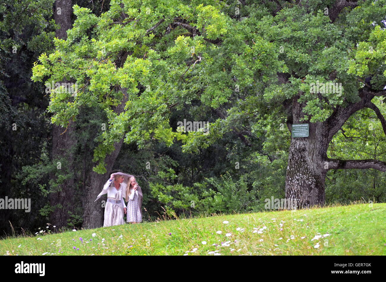 Géographie / voyage, Allemagne, réserve naturelle près de Maising, Walker se protéger avec un chiffon contre l'averse, près de Starnberg, Allemagne, juillet 2011, Banque D'Images