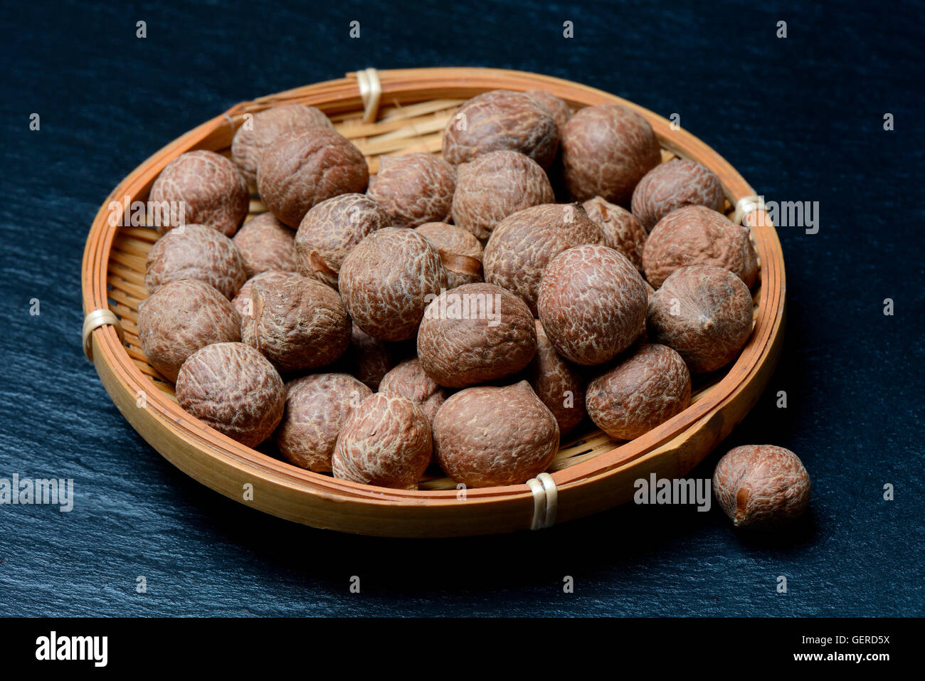 Coquito, Coquitos, Jubaea chilensis, chilenischen Honigpalme der Samen, Mini-Kokosnuss Kokosnuesschen, Banque D'Images