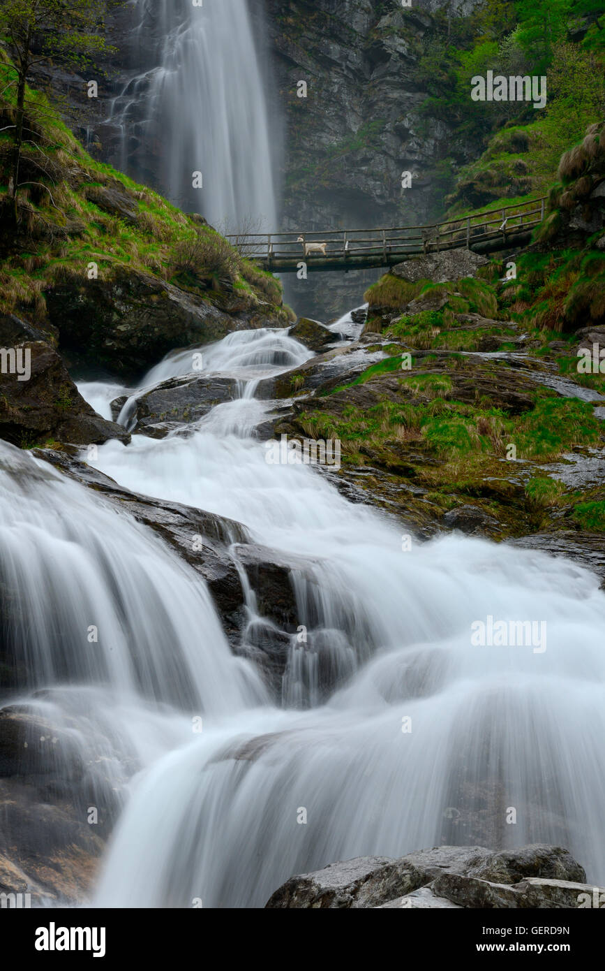 Froda-Wasserfall, Valle Verzasca bei Sonogno, Froda, Tessin, Suisse Banque D'Images