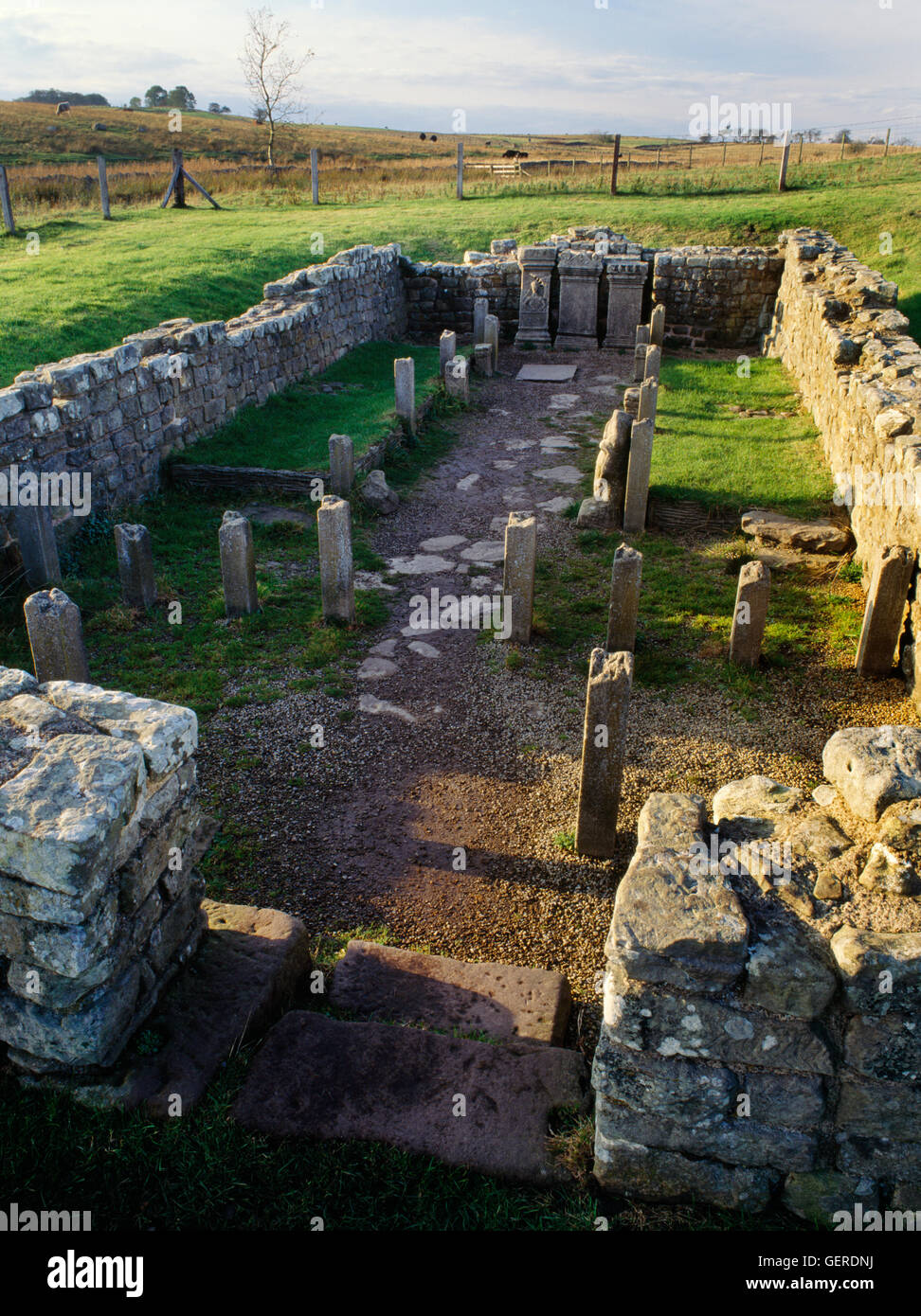 C3rdAD Temple de Mithra Mithraeum (Carrawburgh) à côté de Roman fort sur le mur d'Hadrien, dans le Northumberland. À l'entrée par W & ante-chapelle. Banque D'Images