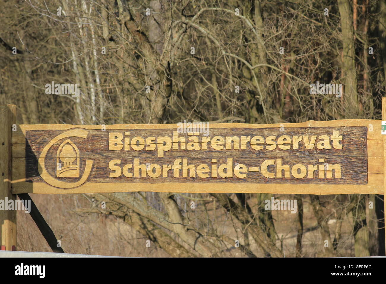 Géographie / voyage, Allemagne, Brandenburg, réserve de biosphère de l'UNESCO Schorfheide-Chorin, Banque D'Images