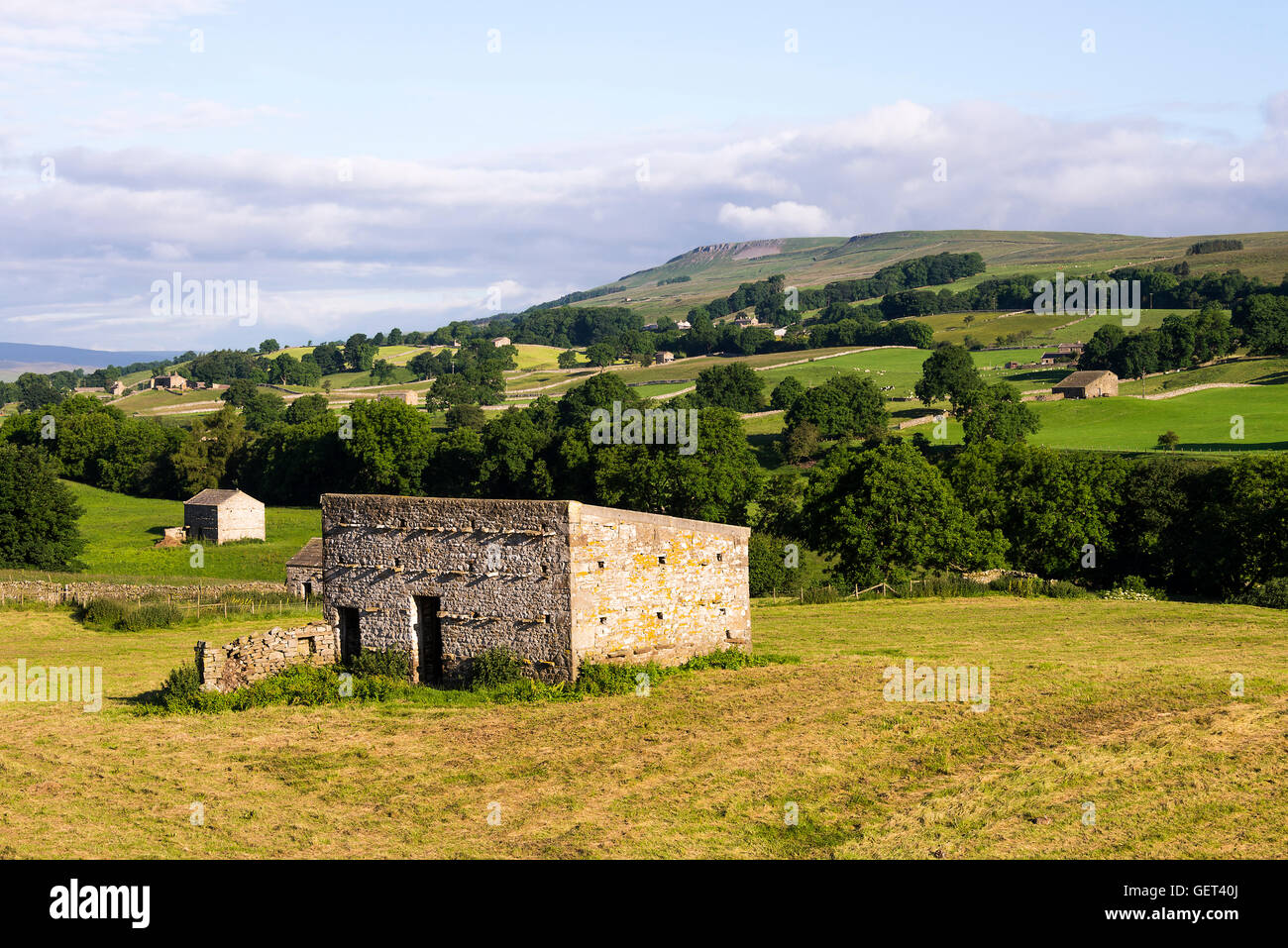 Une belle Grange en pierre dans un champ à Wensleydale en regardant vers Stags Fell et Pike Hill de Bainbridge Yorkshire Dales Angleterre Royaume-Uni Banque D'Images