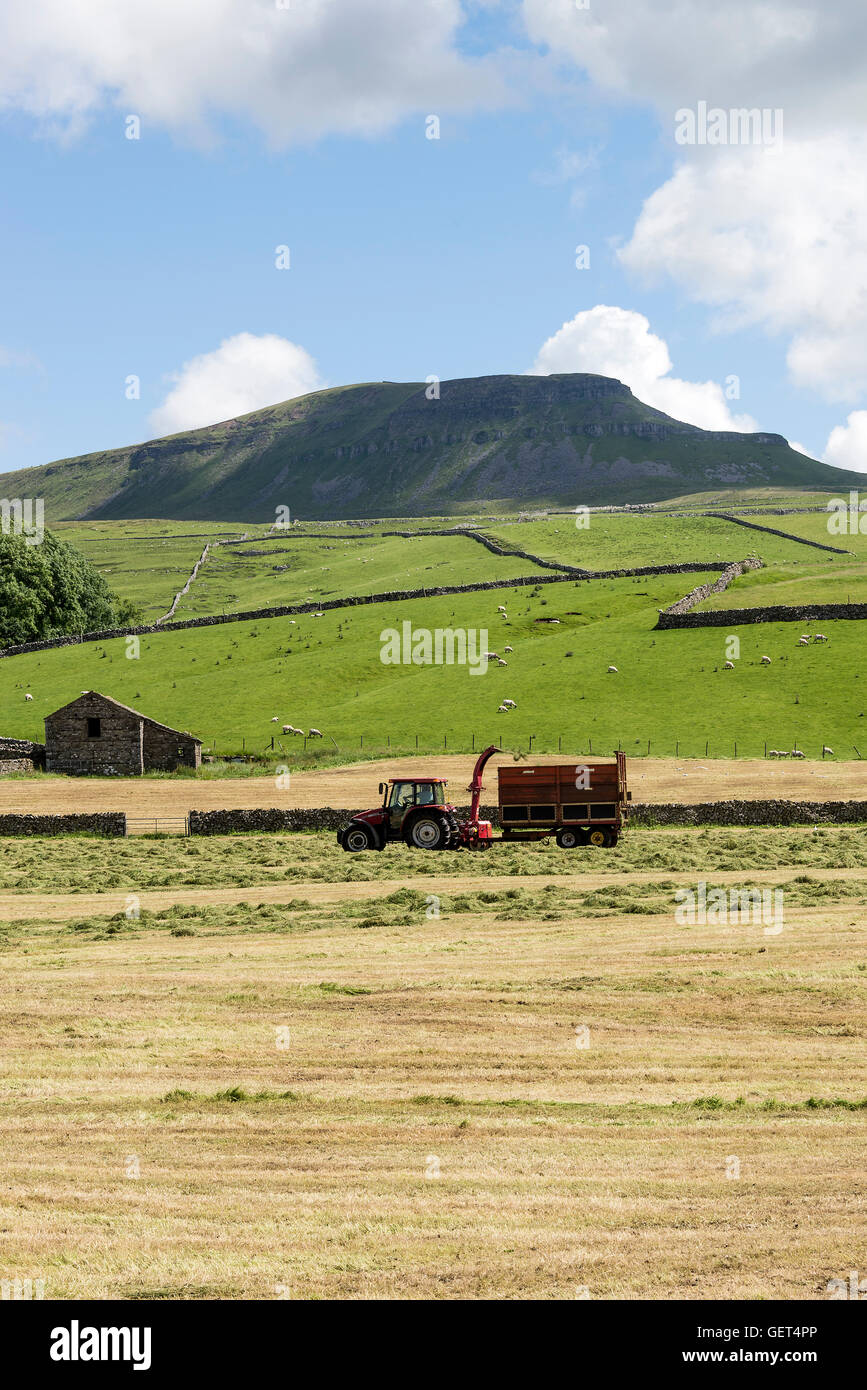 La belle Penyghent Hill dans le Yorkshire Dales près de Horton dans Ribblesdale Angleterre Royaume-Uni UK Banque D'Images